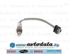 FORD 2141901 (H1BA-9G935-AB) ������-���� DELPHI ES21483-12B1